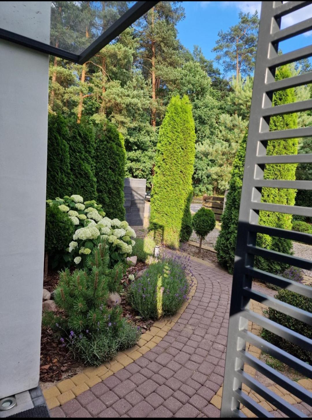 Apartamenty Pod Sosnami Ostroda Miedzylesie 6Os Ruang foto